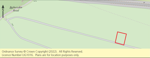 Lot: 144 - TWO FREEHOLD PLOTS OF WOODLAND -